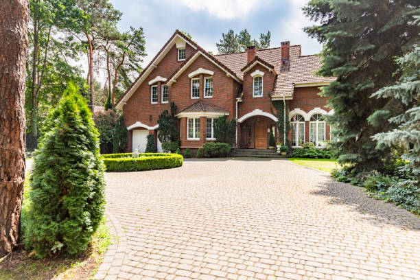 Best Custom Driveway Pavers  in Anthony, NM