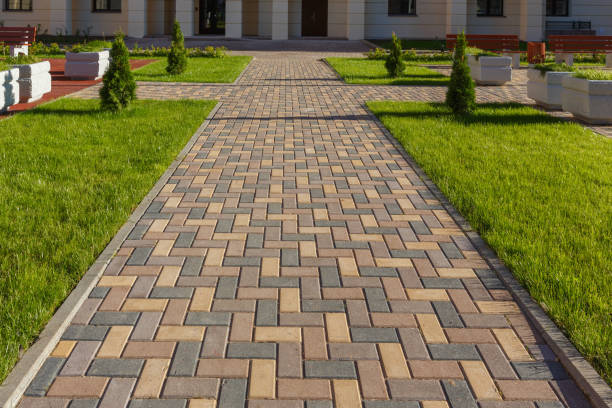 Best Custom Driveway Pavers  in Anthony, NM